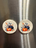 Colored Pumpkins Magnet